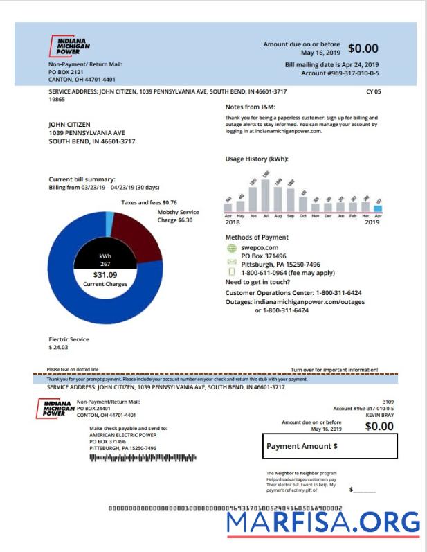 Printable USA Michigan electricity utility bill template in Word and PDF format